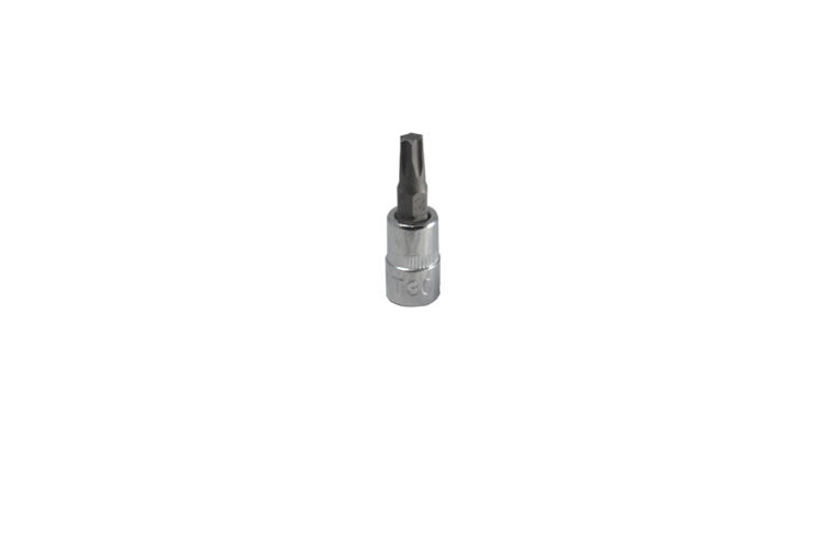 1/4" Dop torx T25 (CX14T25)