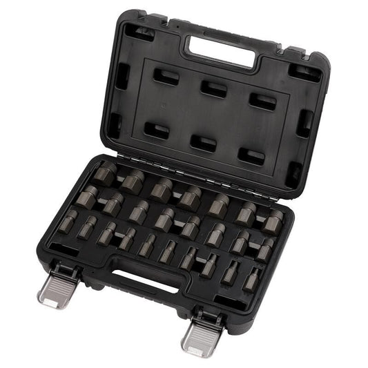 3/8" Bout- en moerverwijderingsset, 25dlg