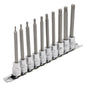 3/8" Doppenrail torx plus lang, 10dlg