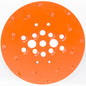 https://spero.nl/contents/nl/p55786_PKD-slijpschijf-coating-lijm-verwijderen.html